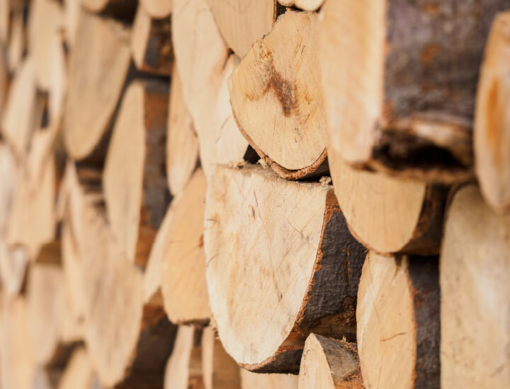 環境にやさしい木材。丸太